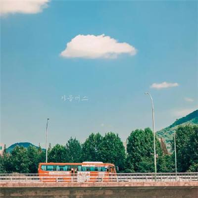 赏金女王下载ios